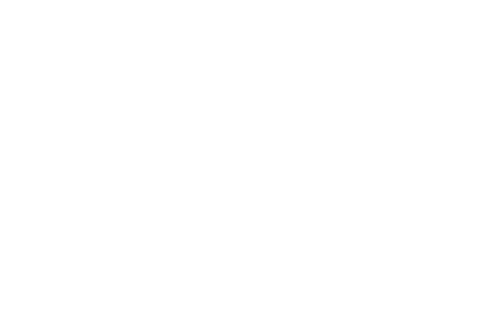 Brand Verse Solutions Logo